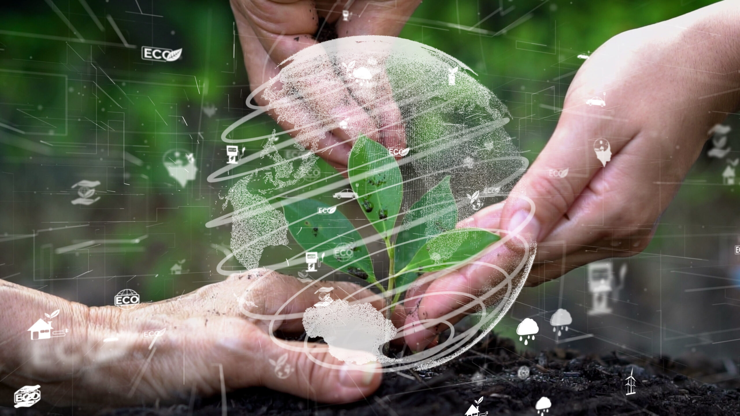 Por que o Dia Mundial do Meio Ambiente é uma data importante?